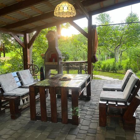 Hotel Окремий Будинок-Апартаменти Rakoshyno Eksteriør billede