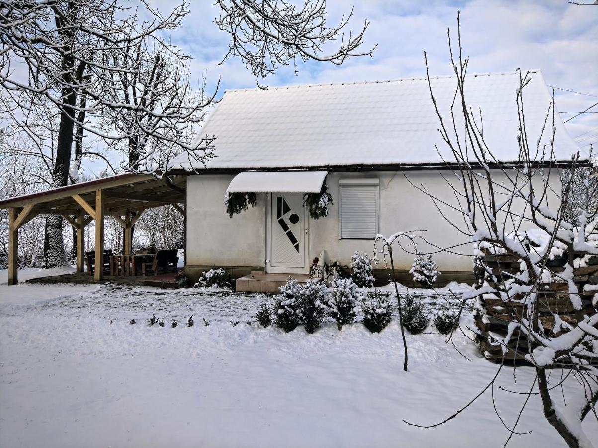 Hotel Окремий Будинок-Апартаменти Rakoshyno Eksteriør billede